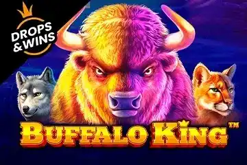 buffalo-king